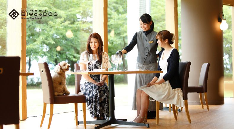 Hotel Biwa Dog